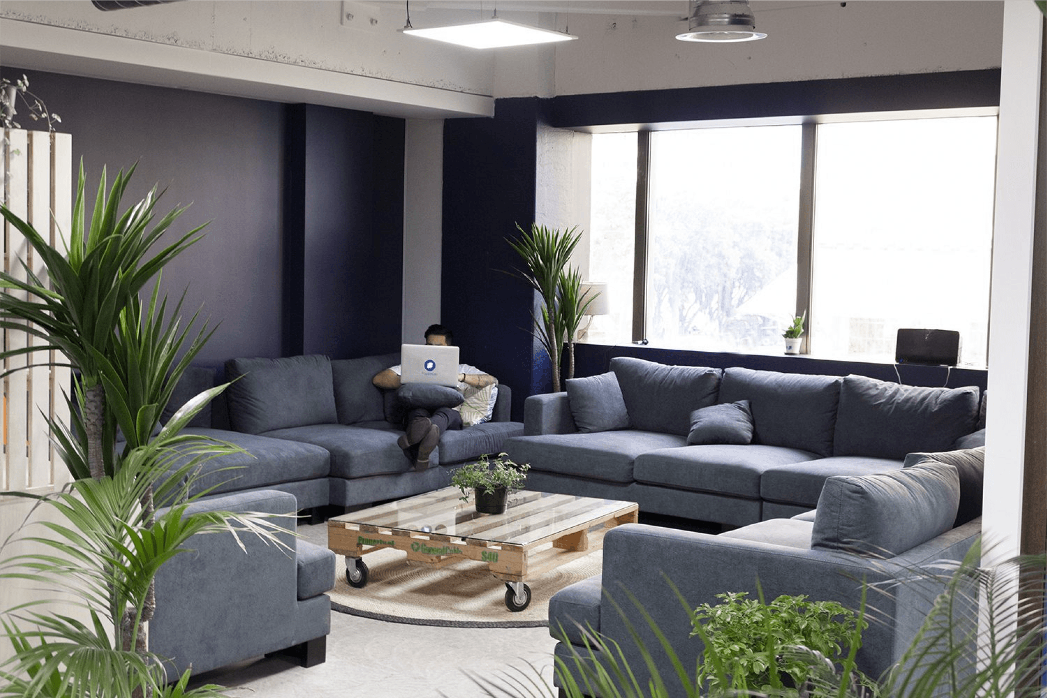 PaperKite Wellington office
