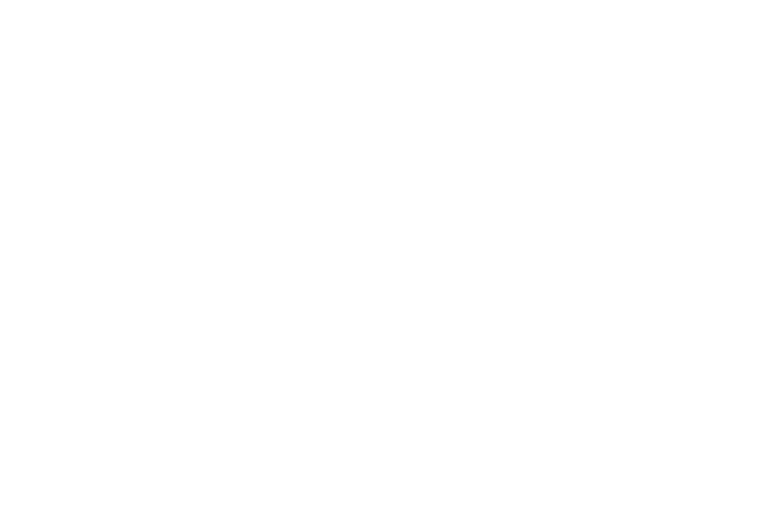 Volley logo