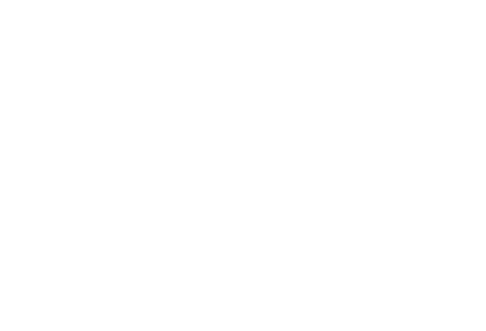 Air New Zealand logo